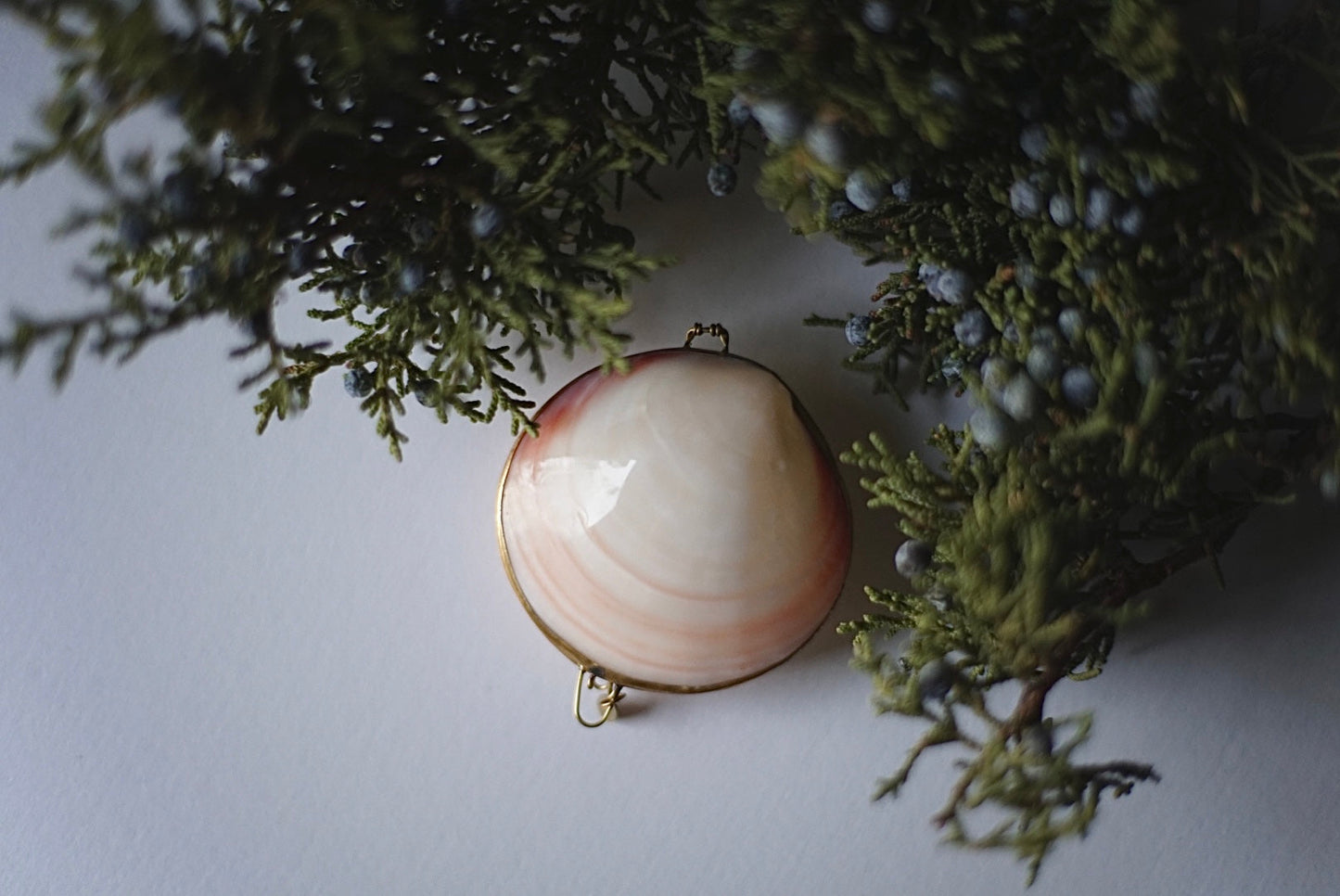 ROOTS ROSE RADISH ソリッドパフューム J〈イランイラン&グレープフルーツ〉ミニサイズ