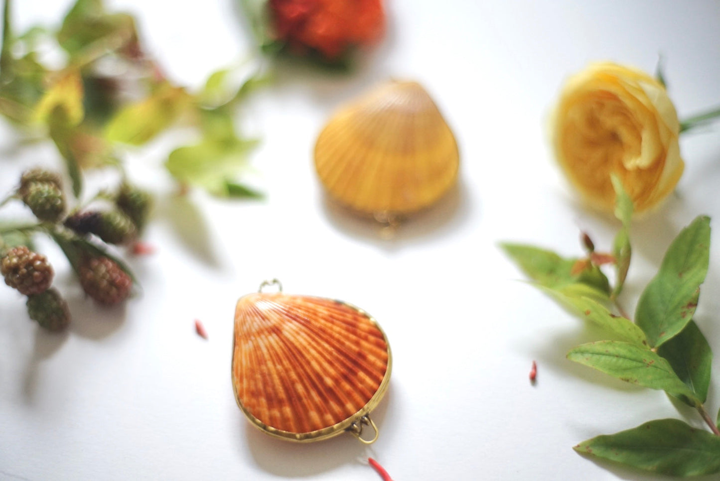 ROOTS ROSE RADISH ソリッドパフューム J〈シダーウッドミルラ&クローブ〉