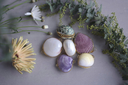 【POP UP】2/17〜3/2 湘南T-SITE 蔦屋書店 出店のお知らせ